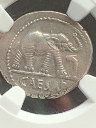 Julius Caesar Coin,  elephant denarius,  Choice XF,  NGC certified 2