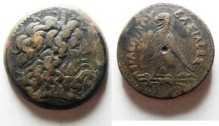 Zurqieh - As9782 - 40mm.  72.  07gm: Ptolemaic Kings Of Egypt.  Ptolemy Iv Philopator