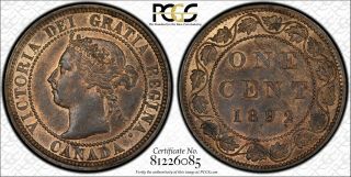 1892 Pcgs Ms63rb Canada Large One Cent - Gold Shield Holder - 1c Penny - C3 Obv