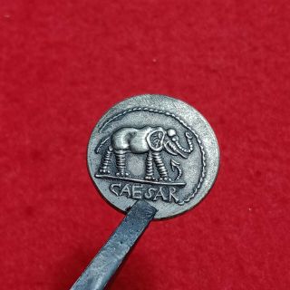 Roman Julius Caesar Ar Denarius Coin 48 Bc Elephant Snake