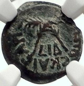 Claudius & Agrippina Jr Ancient Roman Jerusalem Antonius Felix Coin Ngc I69107