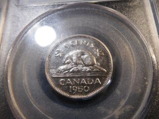 D87 Canada 1950 5 Cents PCGS SPECIMEN - 64 2