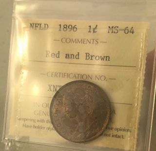 1896 Newfoundland Large Cent ICCS Certified MS64 Books $1400 RB 3