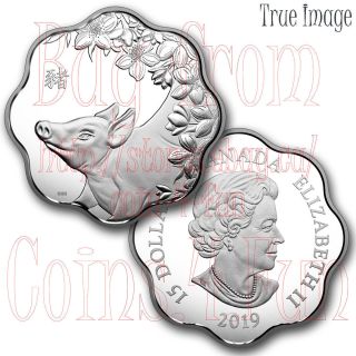 2019 - Lunar Lotus - Year Of The Pig - $15 Pure Silver Proof Coin - Canada