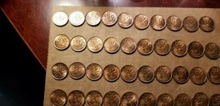 Roll of 50 1944 Canada Small Cents Key ISSUE - BU Details All are Lacquered 2