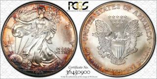 1999 American Silver Eagle Ase Pcgs Ms67 - Colorful & Unique Toning
