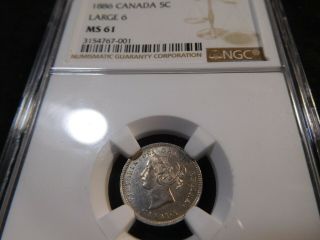 C27 Canada 1886 Large " 6 " 5 Cents Ngc Ms - 61
