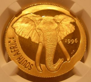 South Africa 1996 Natura Gold 1/2 oz NGC PF - 69UC Elephant 2