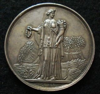 1862 Civil War Dated Large Silver York Agricultural Society Medal