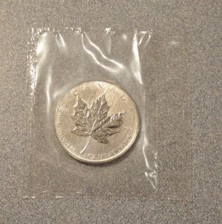 2007 Canadian Maple Leaf Palladium 1 Ounce Bullion Coin Low Mintage Of 15,  000