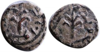 Medieval Coin,  Islamic,  Umayyad Umayyad Æ Fals.  Tiberias,  After Ad 696.  Branches