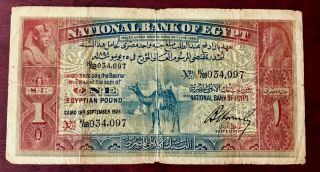Egypt 1 Pounds 1924 Camel Banknote Hornsby Sign.  S.  N.  " 34097 " Pick - 18.  Rare