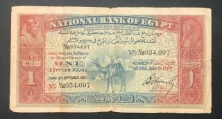 Egypt 1 Pounds 1924 CAMEL Banknote Hornsby Sign.  S.  N.  