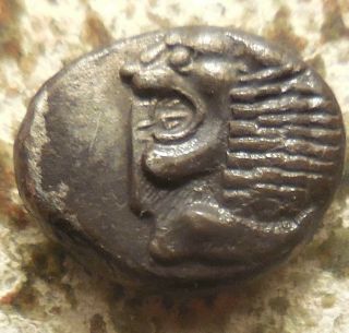 Extra Fine Miletos Ionia.  Late 6th Century Bc.  1/12 Silver Stater,  Lion / Star