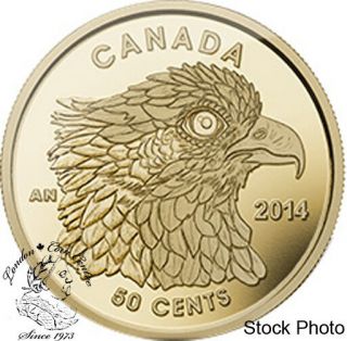 Canada 2014 50 Cent Osprey 1/25 Oz Pure Gold Coin