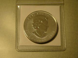 2009 1 Oz Canadian Palladium Maple Leaf $50 Coin.  9995 Fine (751)