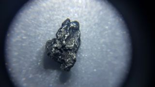 Raw Platinum Nugget 2.  2g Open To Reasonable Offers.  Need Gone.