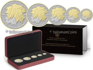 Canada 2014 5 Coin 24 - Karat Gold Plated Pure Silver Maple Leaf Fractional Set