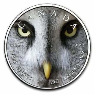 2019 1 Oz Silver $5 Canadian Wildlife Snow Owl Maple Leaf Coin.