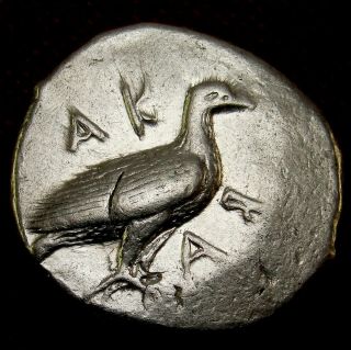 Super⭐Crab and Eagle.  Sicily Akragas Didrachm.  Rare Ancient Greek coin 2