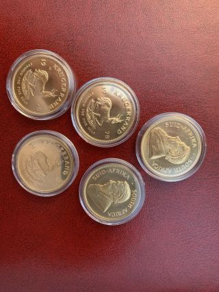 1 Oz South African Gold Krugerrand Coin (varied Year)