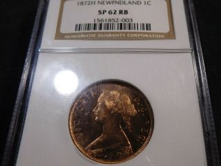V3 Canada Newfoundland 1872 - H Large Cent Ngc Specimen - 62 Rec Brown