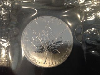 2006 Palladium Canadian Maple 1 Ounce Coin