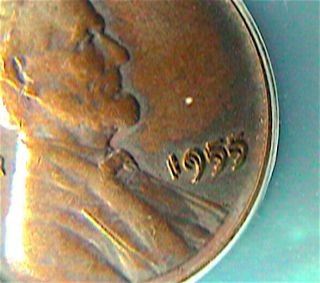 1955 Double Die.  Au 55.  Fine Detail.  White Glove Coins
