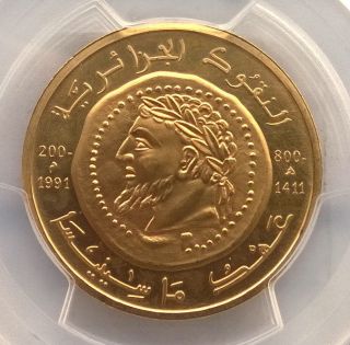 Algeria 1991 King Massinissa Elephant 5 Dinars Pcgs Gold Coin,  Unc,  Very Rare