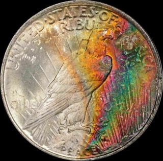 1923 Pcgs Ms63,  Monster Rainbow Toned Peace Dollar Ex Ngc Ms63 Star Cac
