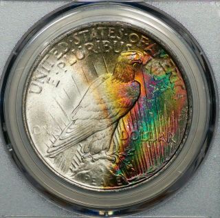 1923 PCGS MS63,  Monster Rainbow Toned Peace Dollar ex NGC MS63 STAR CAC 3