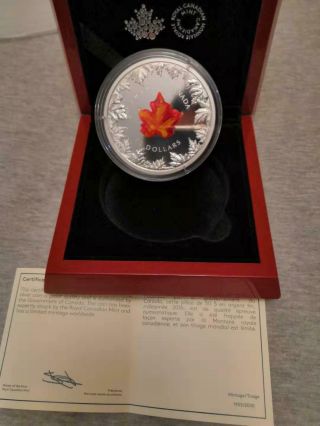 2016 Canada Autumn Radiance Murano Glass Maple Leaf 5 Oz Silver Coin 1905