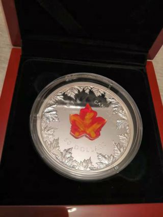 2016 Canada Autumn Radiance Murano Glass Maple Leaf 5 oz Silver Coin 1905 3