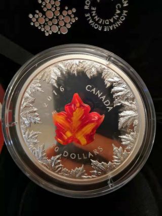 2016 Canada Autumn Radiance Murano Glass Maple Leaf 5 oz Silver Coin 1905 4