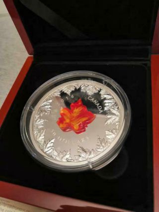 2016 Canada Autumn Radiance Murano Glass Maple Leaf 5 oz Silver Coin 1905 6
