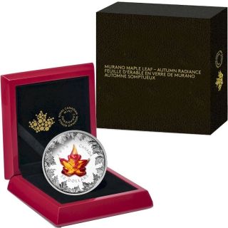 2016 Canada Autumn Radiance Murano Glass Maple Leaf 5 oz Silver Coin 1905 8