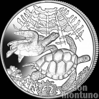 2017 Green Turtle - Cuni Copper Nickel Unc Coin - British Indian Ocean Territory