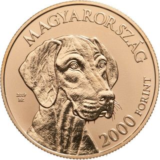 Hungary 2000 Forint 2019 Hungarian Dog Cu75ni4zn21