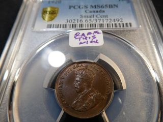 Q43 Canada 1920 Small Cent Pcgs Ms - 65 Brown Rare This