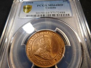 Q39 Canada 1908 Large Cent Pcgs Ms - 64 Full Red