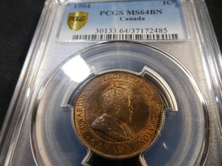 Q38 Canada 1904 Large Cent Pcgs Ms - 64 Brown