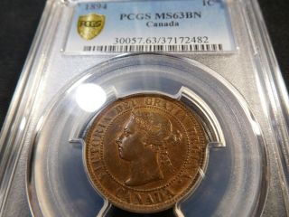 Q34 Canada 1894 Large Cent Pcgs Ms - 63 Brown