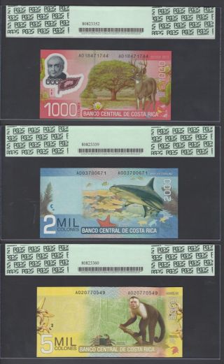 Costa Rica Full Set 1 - 2 - 5 - 10 - 20 - 50 Mil Colones 2 - 9 - 2009 Uncirculated All Graded 3