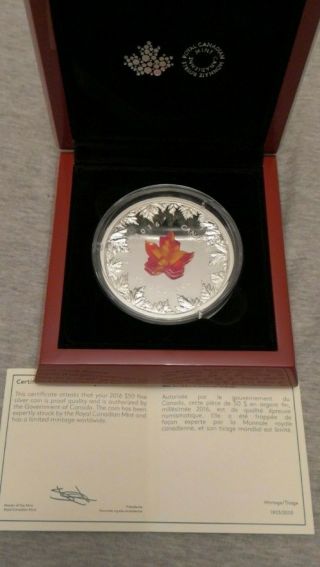2016 Canada Autumn Radiance Murano Glass Maple Leaf 5 Oz Silver Coin 1903