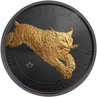 2017 1 Oz Silver $5 Golden Enigma Canadian Lynx Predator Series Coin.