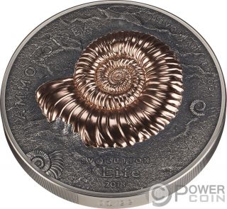 AMMONITE Evolution of Life 1 Kg Kilo Silver Coin 20000 Togrog Mongolia 2018 3