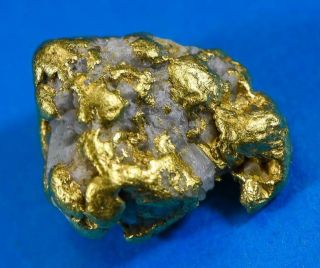Qn - 12 " Alaskan Bc Gold Nuggets With Quartz " - - 10.  24 Grams