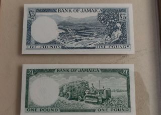 1960 5 & 1 Pounds & 10 & 5 Shillings Bank Of Jamaica Banknote. 6