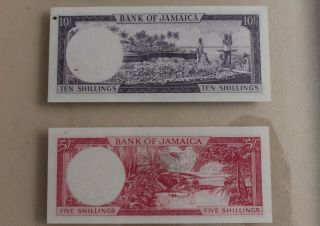 1960 5 & 1 Pounds & 10 & 5 Shillings Bank Of Jamaica Banknote. 7