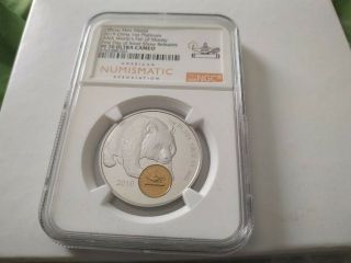 1oz Platinum 2019 China Panda Ana Show Yuan Coin Ngc Pf70 Uc Fdi Mintage Of 88